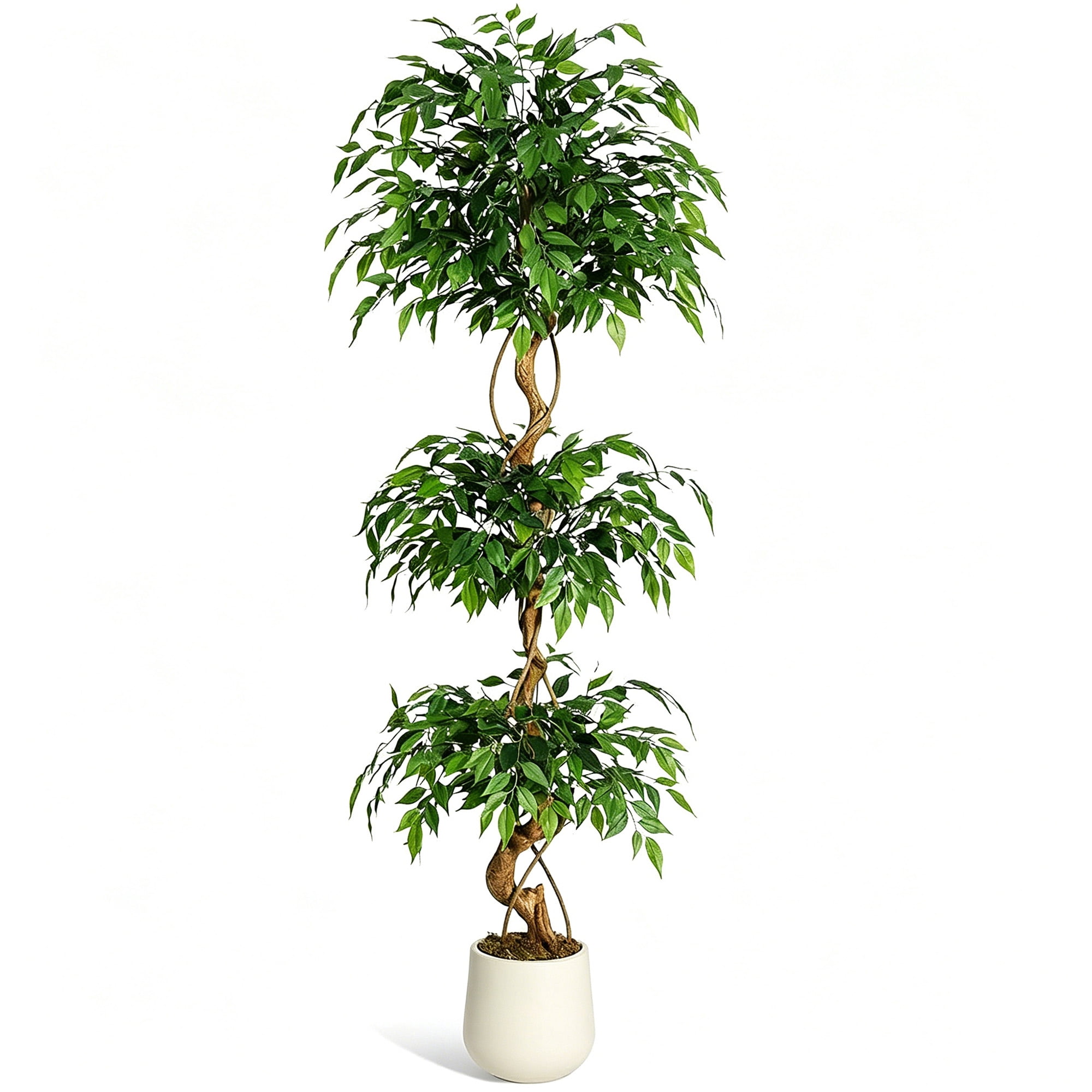 6 ft Artificial Ficus Tree with Curved Trunk, Lifelike Fake Ficus Tree with White Planter Pot, Realistic Faux Plant for Home Decor