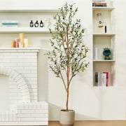 DR.Planzen 6 ft Artificial Olive Plants with Realistic Leaves and Natural Trunk, Silk Fake Olive Tree in Black Plastic Pot, Faux Olive Tree for Office Home