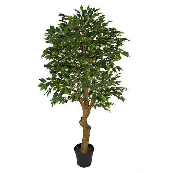 6 ft. Ficus Tree with Synthetic Trunk, Green