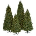 thumbnail image 1 of 6 ft. Mixed Spruce Tree, 1 of 1