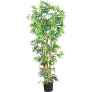 6 ft. Multi Bambusa Bamboo Silk Tree