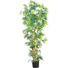 6 ft. Multi Bambusa Bamboo Silk Tree