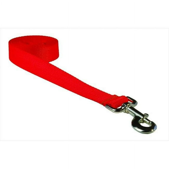 6 ft. Nylon Webbing Dog Leash, Neon Orange - Large