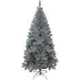 thumbnail image 1 of 6 ft. Silver Point Pine Tree, 1 of 2
