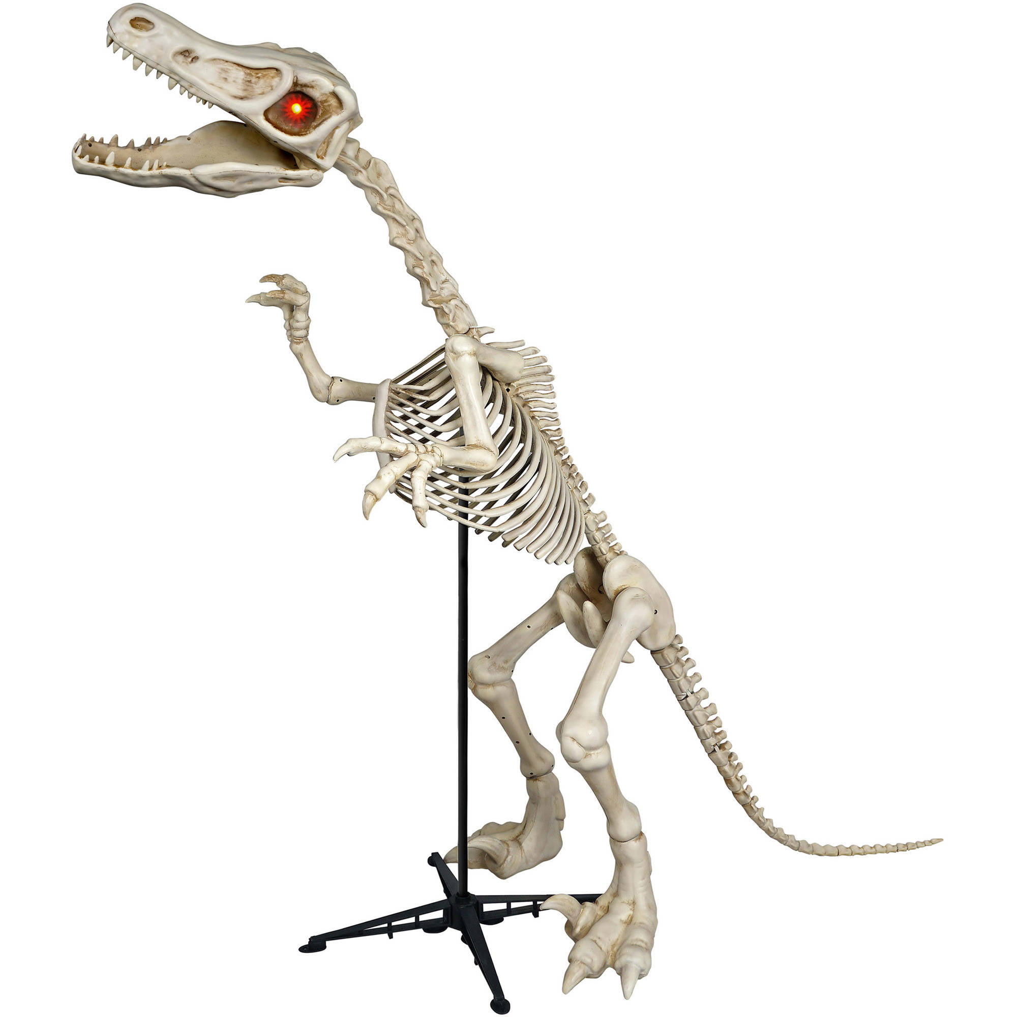 6 ft. Standing Skeleton Raptor with LED Illuminated Eyes Halloween ...