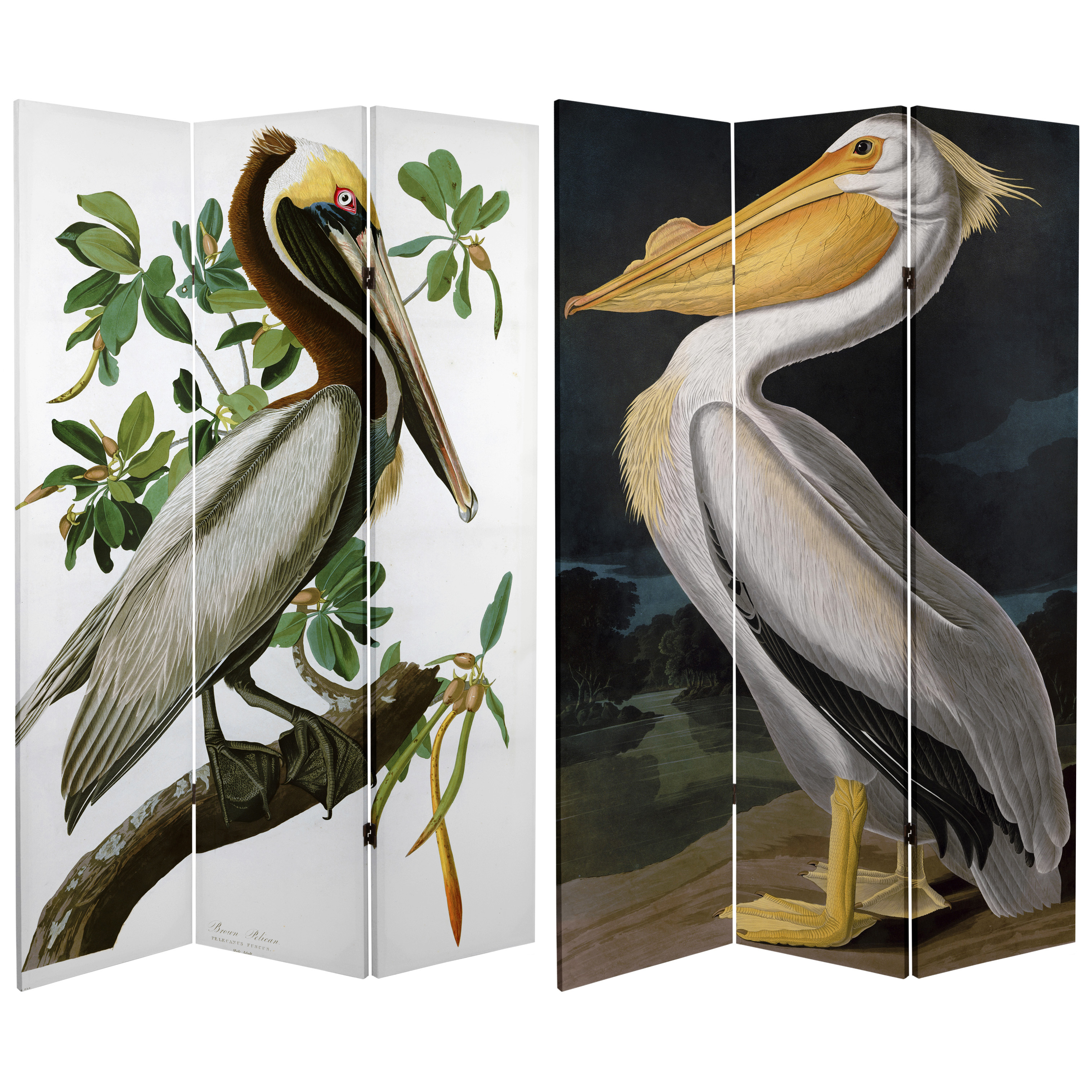 6 ft. Tall Audubon Pelican Canvas Print Room Divider Floor Screen - image 1 of 3