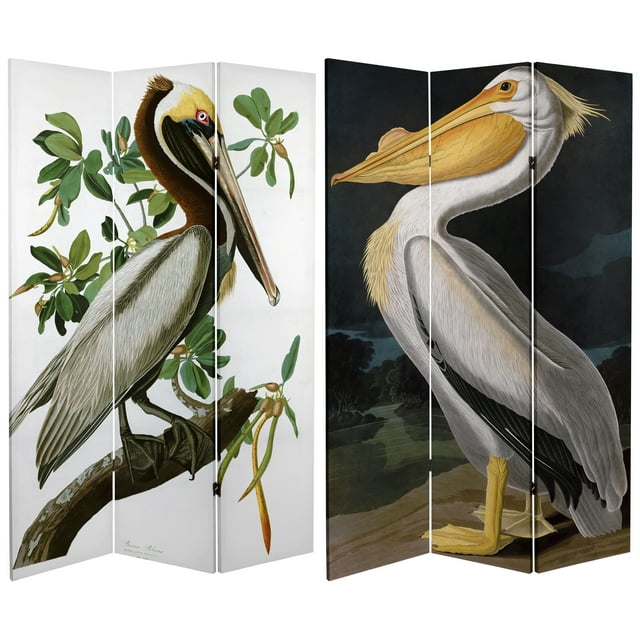 6 ft. Tall Audubon Pelican Canvas Print Room Divider Floor Screen