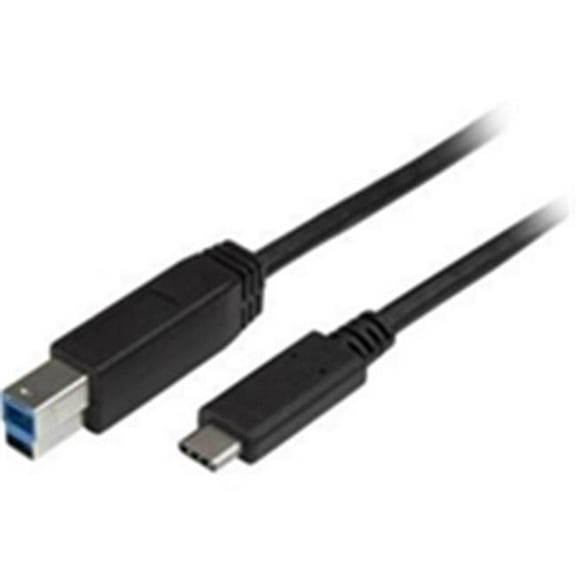 6 ft. USB Type B Cable USB