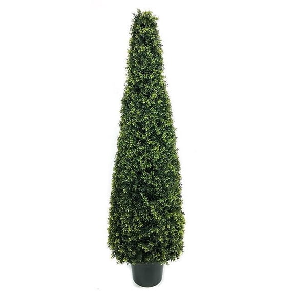 6 ft. UV Dwarf Boxwood Cone Topiary Tutone Green