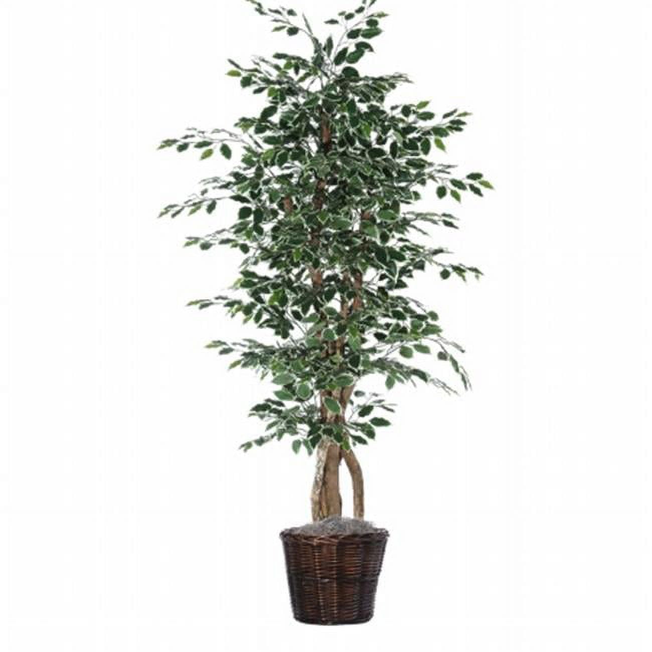 Outdoor Silk Ficus Topiary in Green and White Pot