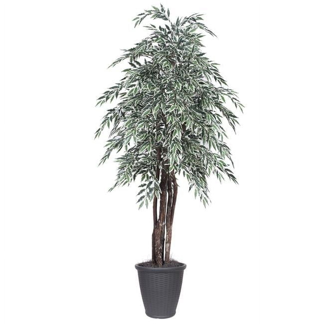 6 ft. Variegated Smilax Executive Tree - Round Grey Container, Green ...