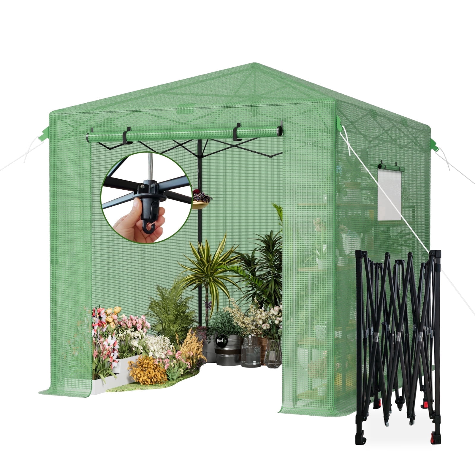 6 ft. W x 8 ft. D Pop Up Green House for Outdoors, Portable Greenhouses, Walk-in Greenhouses, Popup Greenhouse Kit, Easy Set Up