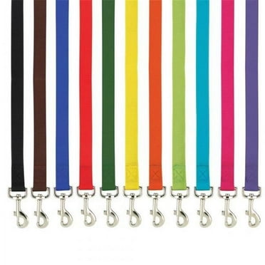 6 ft. x 0.62 in. Basic Nylon Dog Leash Lead, Blue