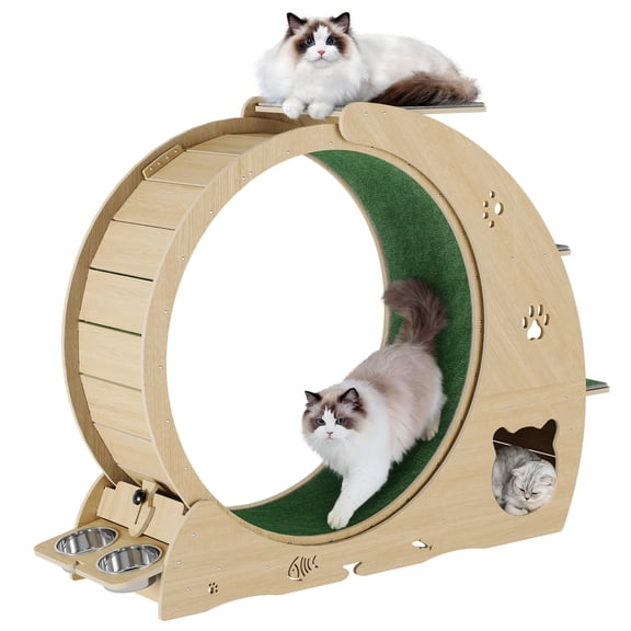 6-in-1 Cat Exercise Wheel for Indoor Cats – Multifunctional Treadmill with Detachable Carpet, Scratching Post, Feeding Bowls – Quiet Sturdy Cat Furniture for Fitness and Fun, 40 Inch, Wood Color