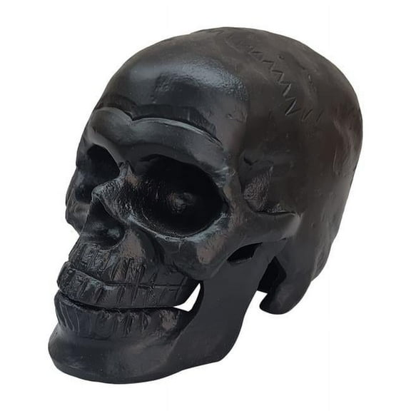 6 in. Aluminum Skull Decor Figurine, Black
