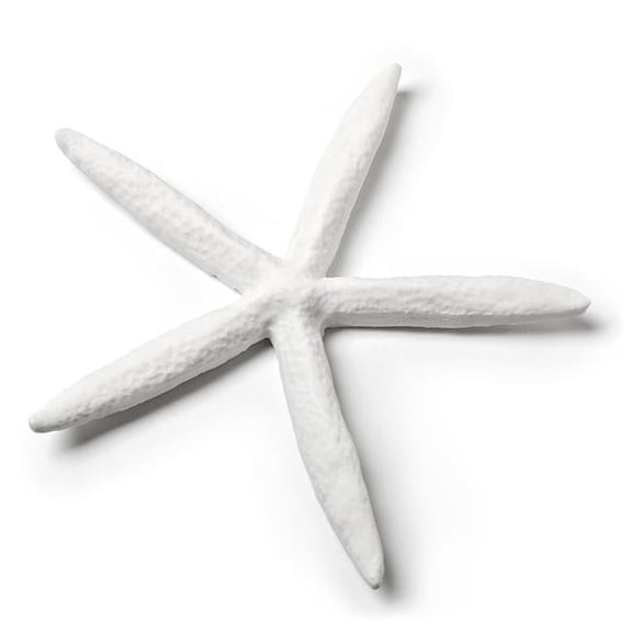 6 in. Simple Starfish Decoration, White