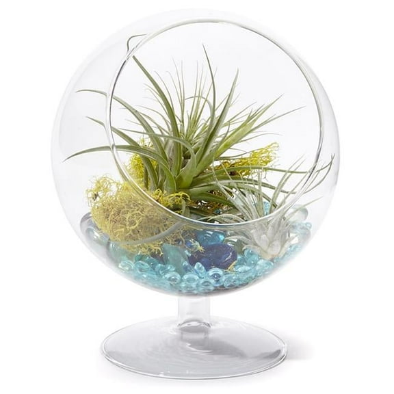 6 in. Slant Cut Pedestal Bowl Arrangement