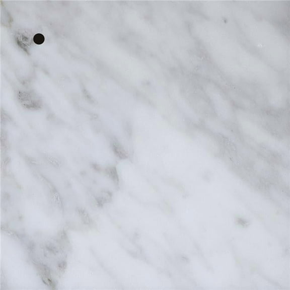 6 in. Stone Finish Sample, Carrara White Marble