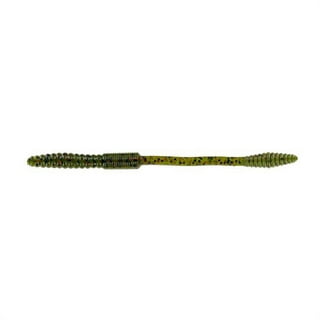  Big Bite Baits 6-Inch Squirrel Tail Worm Lures-Pack of 10  (Black) : Fishing Soft Plastic Lures : Sports & Outdoors