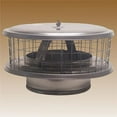 thumbnail image 1 of 6 in. Weathershield Chimney Cap, 1 of 1