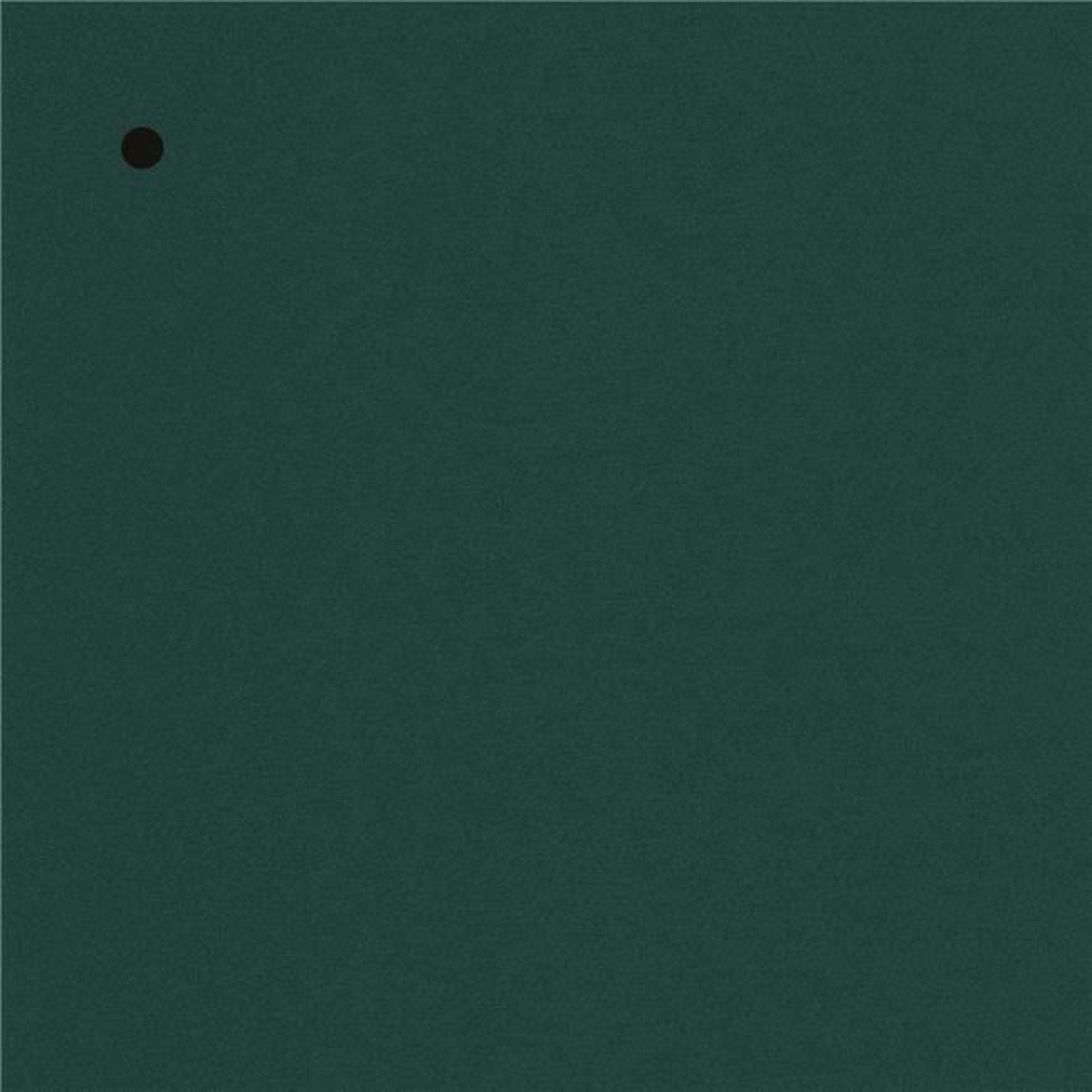 Photo inspiration: Picture Idea: 6 In Wood Finish Sample Melamint Green