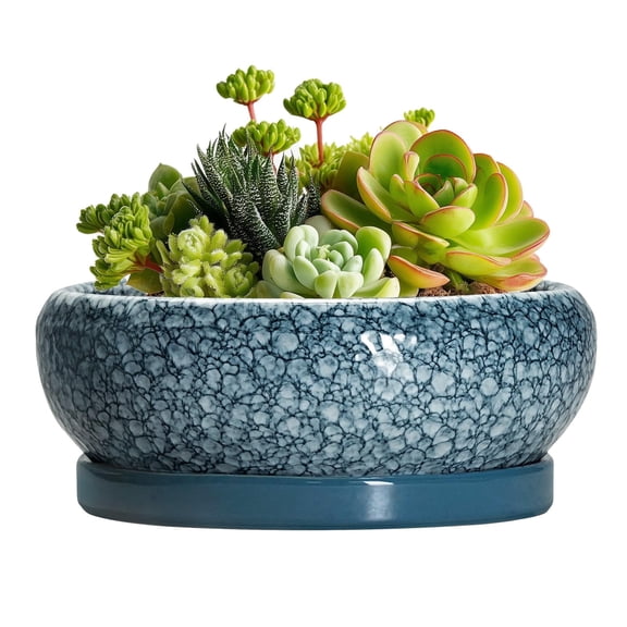 6 inch Ceramic Plant Pot, Round Shallow Flower Pots with Drainage & Saucer for Succulents, Elegant Decorative Planter for Home Decor, Scale Blue-grey