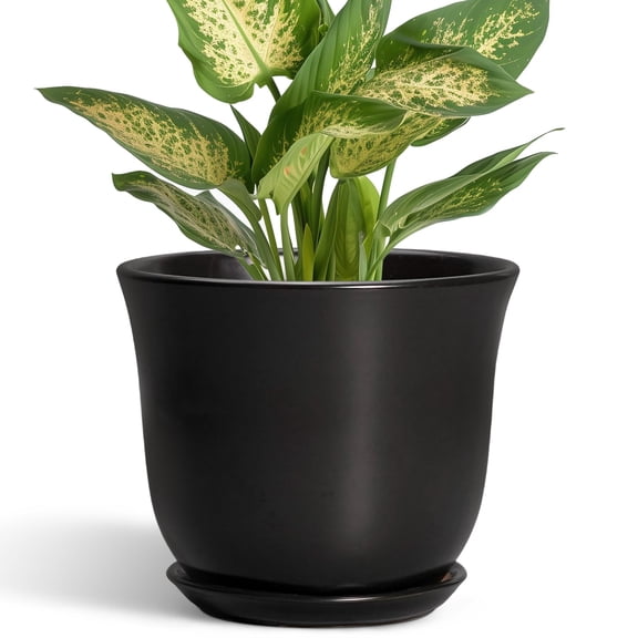 Stillaflora 6 inch Black Small Ceramic Plant Pot with Drainage & Saucer, Indoor Round Modern Decorative Planter for Succulents & Herbs