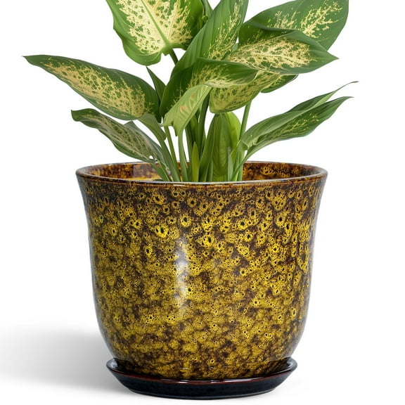 6 inch Flower Pots, Small Round Ceramic Planter with Saucer & Drainage, Decorative Pot for Indoor Plants, Gift for Women & Mom, Leopard Glaze Yellow