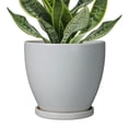 thumbnail image 1 of stillaflora 6 inch Matte Grey Ceramic Plant Pot with Drainage & Saucer | Flower Pots for Indoor Trees & Houseplants,Gift for Plant Lovers, 1 of 8