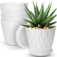 thumbnail image 1 of 6 inch Plant Pots, 5 Pack Flower Pots Outdoor Indoor, Planters with Drainage Hole and Tray Saucer（White）, 1 of 12