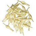 thumbnail image 1 of 6 inch Qualatex Quicklink - Pearl White Latex Balloons (50 Pack) - Party Supplies Decorations, 1 of 3