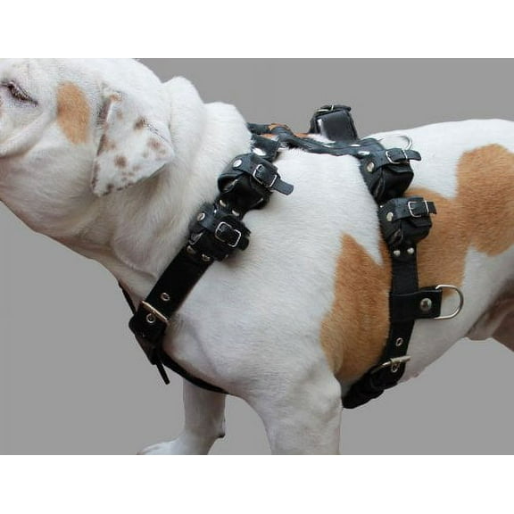 6 lbs Genuine Leather Weighted Pulling Dog Harness for Exercise and Training. Fits 28"-35" Chest, Black
