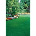 thumbnail image 1 of 6 lbs. Healthy Lawn Grass Seed, Tall Fescue Variety, 1 of 1
