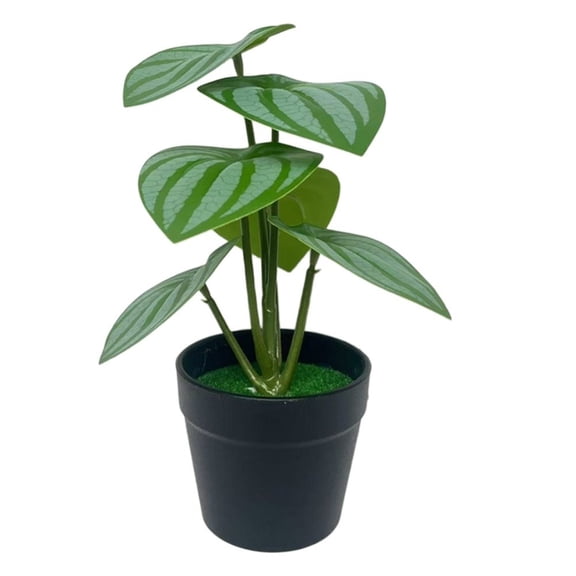 6-mesh 3D Artificial Potted Plants FOR MINI Succulent Fake Flowers for Office