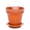 thumbnail image 1 of 6 oz Terracotta Plastic Mini Flower Pot Cup - with Lid - 3" x 3" x 3" - 100 count box, 1 of 2