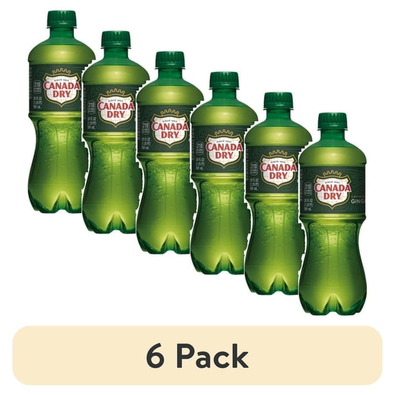 (6 pack) 2X-Canada Dry Ginger Ale Soda Bottle - 20 fl oz