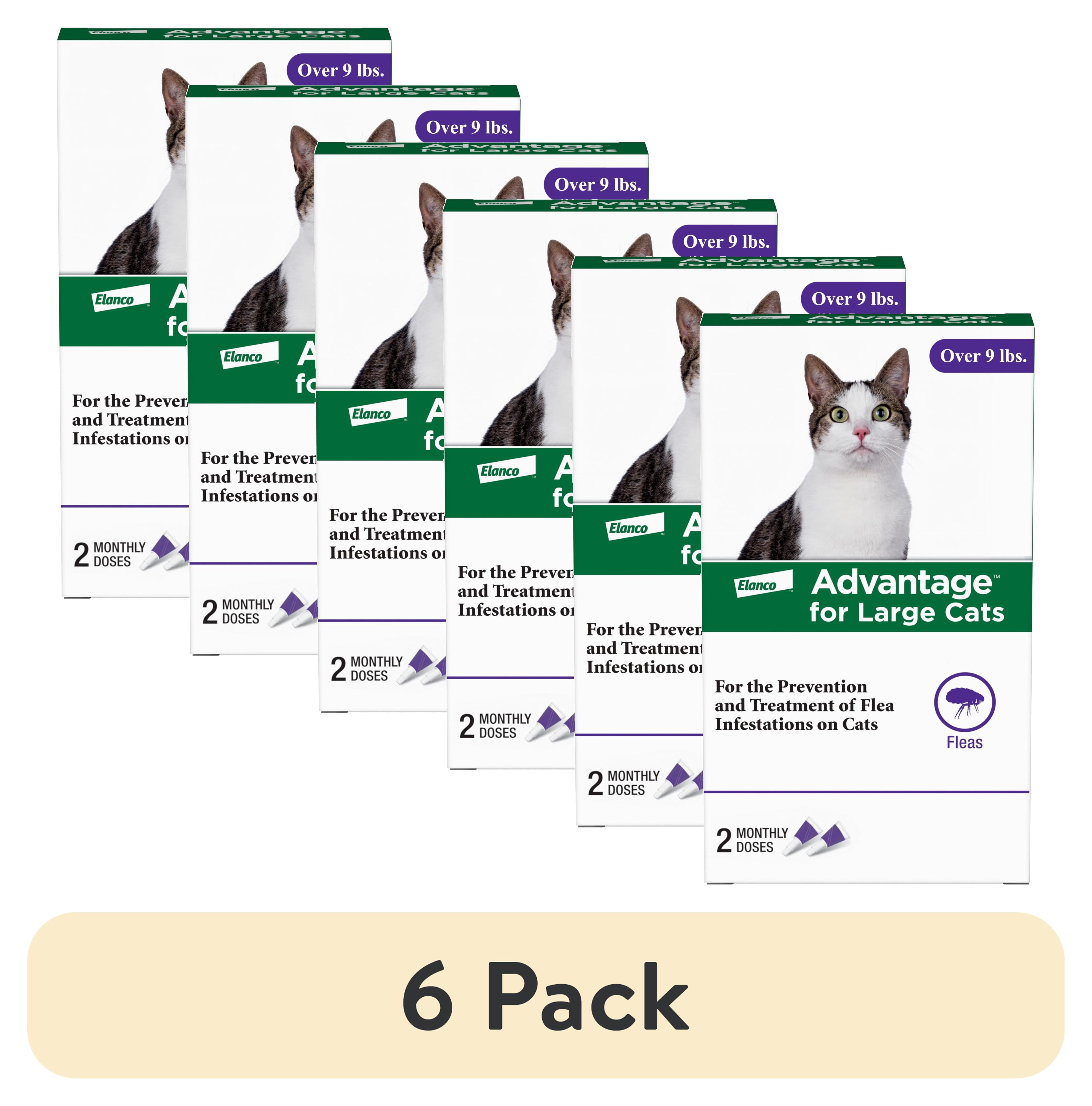 (6 pack) Advantage Topical Flea Treatment & Prevention For Large Cats ...