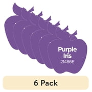 6 pack Apple Barrel Acrylic Craft Paint, Matte Finish, Purple Iris, 2 fl oz