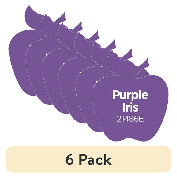 (6 pack) Apple Barrel Acrylic Craft Paint, Matte Finish, Purple Iris, 2 fl oz