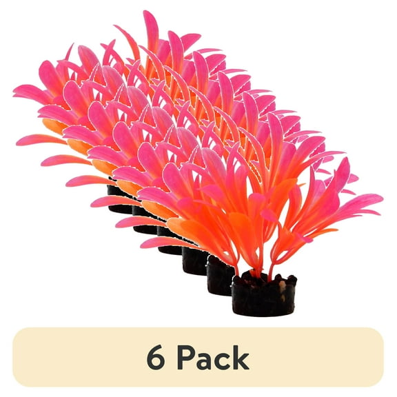 (6 pack) Aqua Culture Bright Plant Assortment