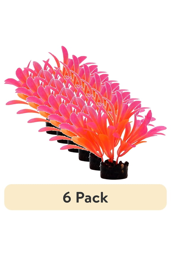 (6 pack) Aqua Culture Bright Plant Assortment