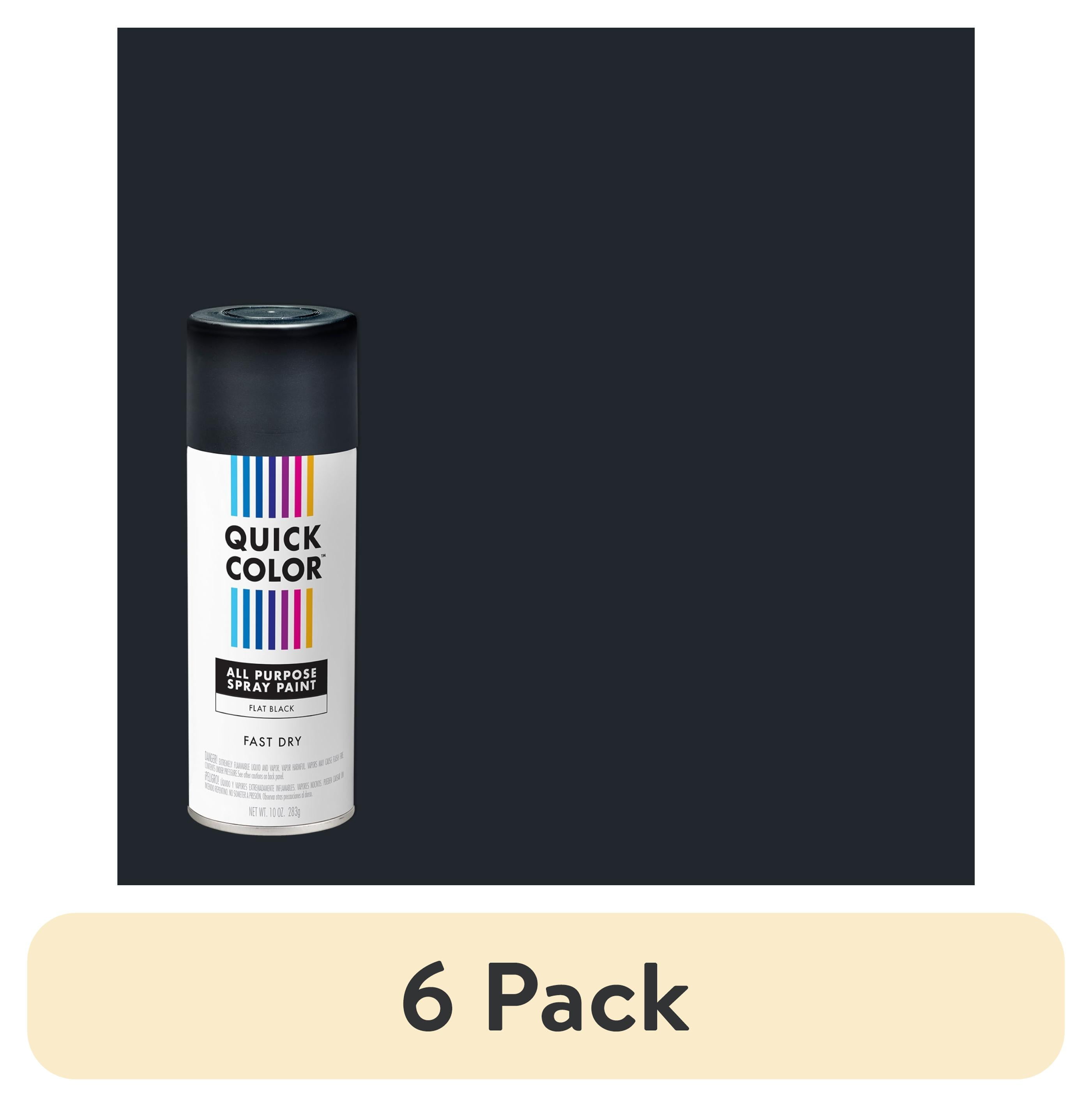6 pack) Black, Quick Color Flat All Purpose Spray Paint-391194, 10