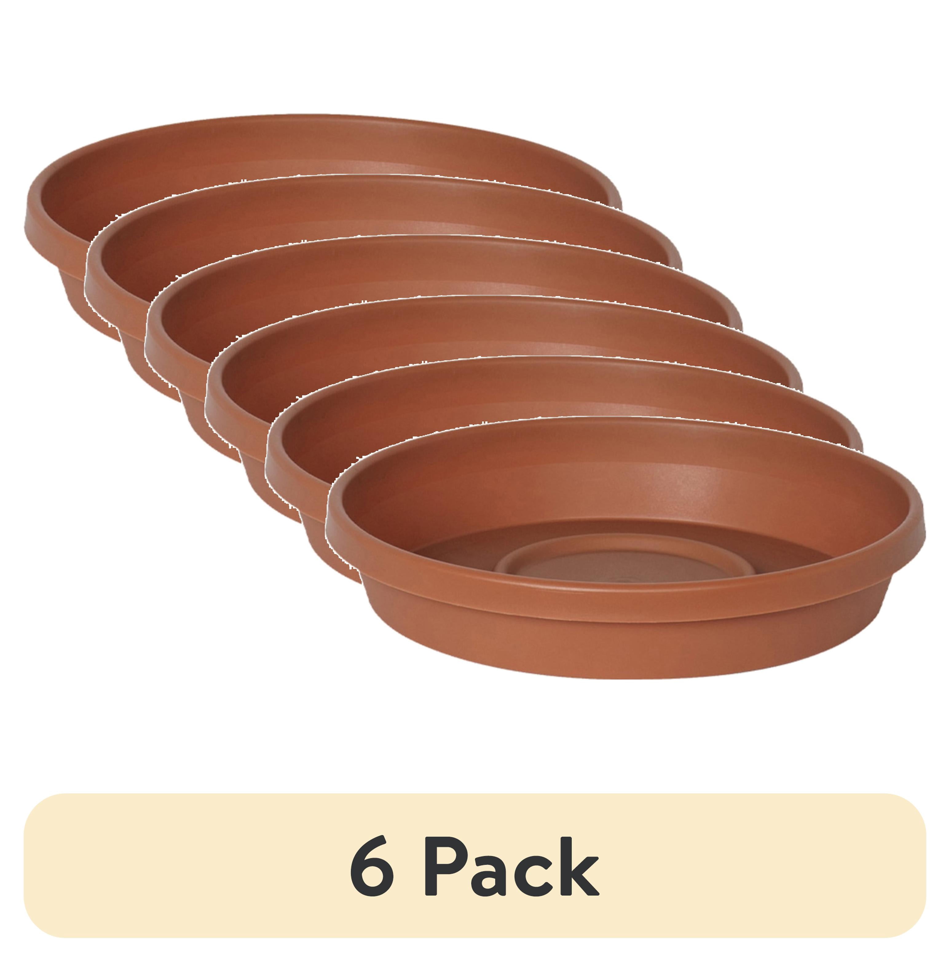 Tree Saucer Rim (6 pack) Bloem 12