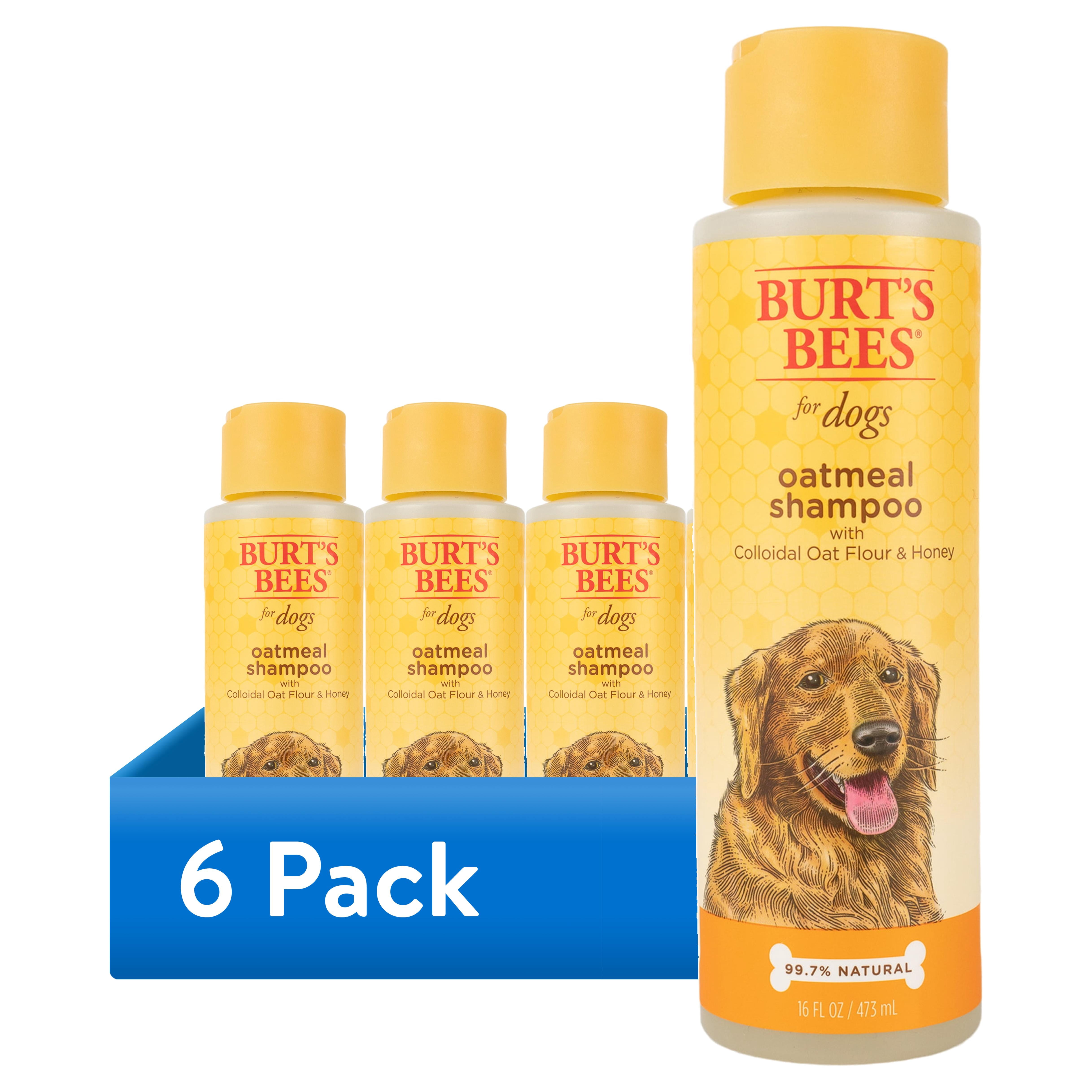 (6 pack) Burt's Bees Oatmeal Dog Shampoo with Colloidal Oat Flour and Honey 16 Oz