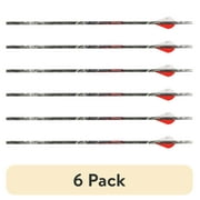 6 pack Carbon Express Terminator Hunter 55-70 lb Draw Arrow, 30, Black