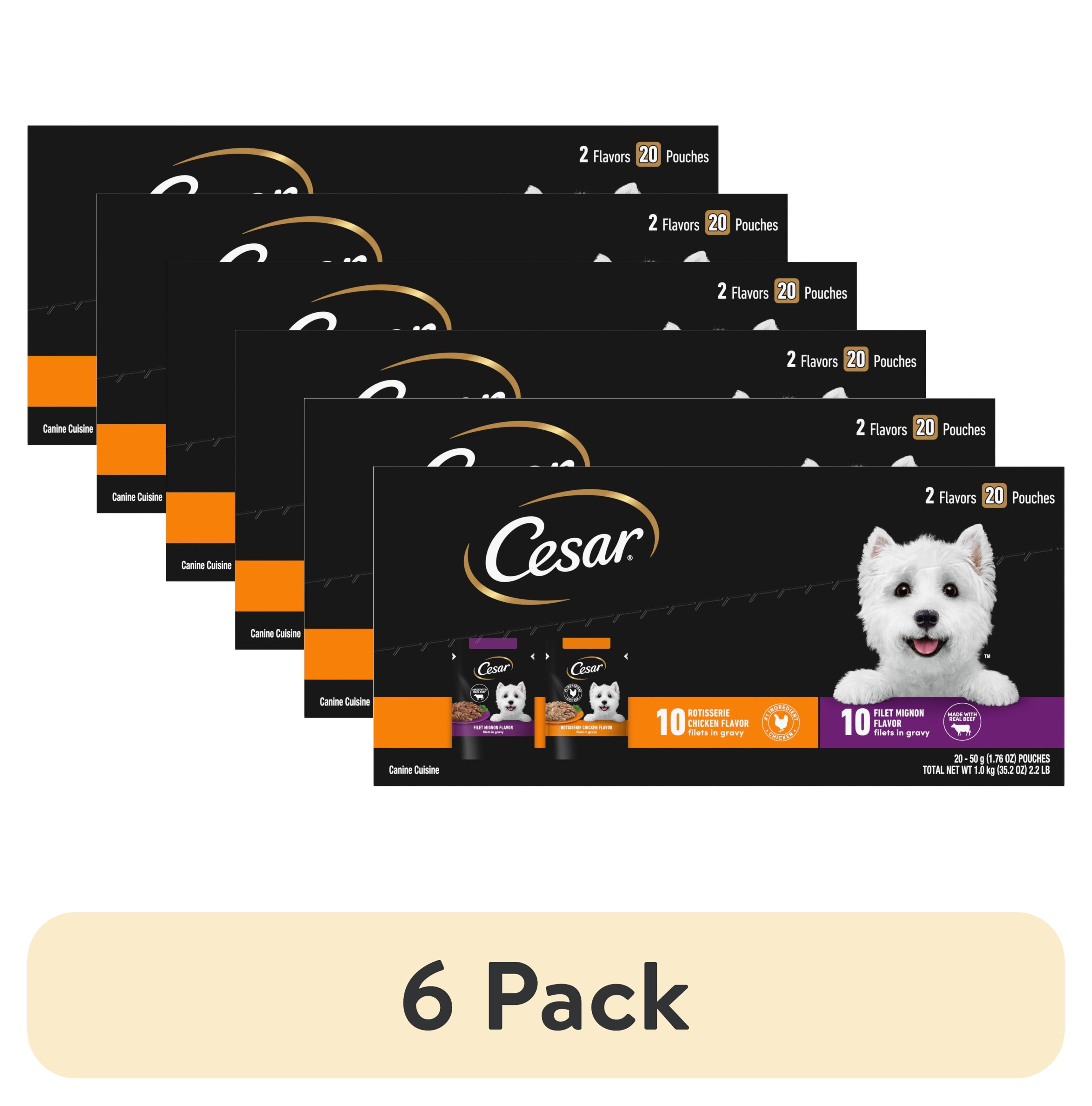 (6 pack) Cesar Filets In Gravy Beef And Chicken Flavors Wet Dog Food, 1.76 Oz Mini-Pouches, 20 Ct