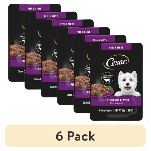 (6 pack) Cesar Filets in Gravy Filet Mignon Flavor Wet Dog Food, 1.76-oz Mini-Pouches