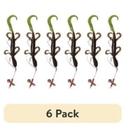 (6 pack) Creme Pre-Rigged 4" Lizard Lure, Pumpkin Chartreuse