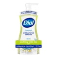 thumbnail image 1 of (6 pack) Dial Antibacterial Defense Soothing White Tea Scent Foaming Hand Soap, 7.5 fl oz, 1 of 12