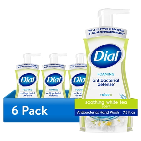 (6 pack) Dial Antibacterial Defense Soothing White Tea Scent Foaming Hand Soap, 7.5 fl oz